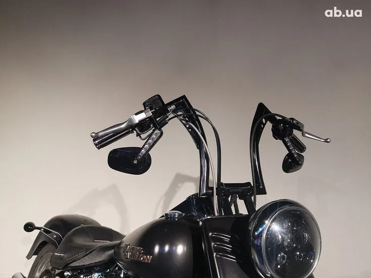 Harley-Davidson FLSTF Image 6